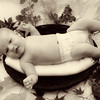 Carolyn Wright-Chierico (CWCPHOTO) > Liam >  002_Liam