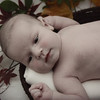 Carolyn Wright-Chierico (CWCPHOTO) > Liam >  007_Liam
